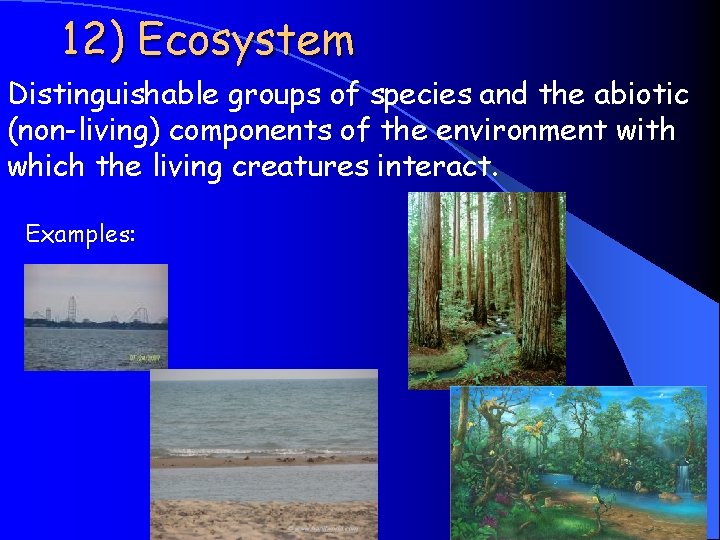 12) Ecosystem Distinguishable groups of species and the abiotic (non-living) components of the environment 12) Ecosystem Distinguishable groups of species and the abiotic (non-living) components of the environment