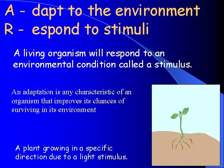 A - dapt to the environment R - espond to stimuli A living organism