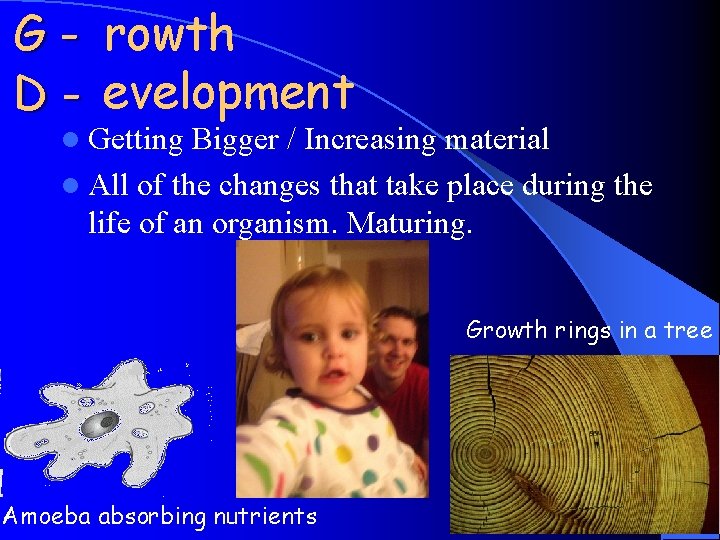 G - rowth D - evelopment l Getting Bigger / Increasing material l All G - rowth D - evelopment l Getting Bigger / Increasing material l All