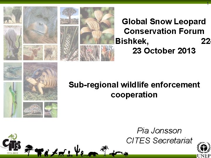 1 Global Snow Leopard Conservation Forum Bishkek, 2223 October 2013 Sub-regional wildlife enforcement cooperation