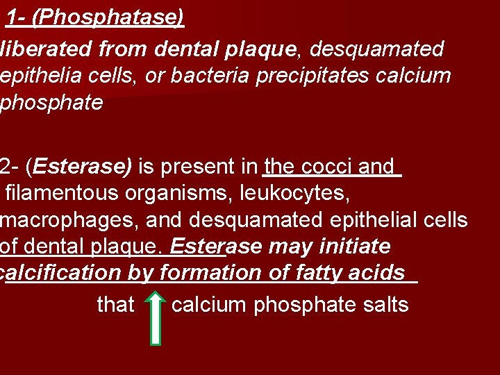 1 - (Phosphatase) liberated from dental plaque, desquamated epithelia cells, or bacteria precipitates calcium