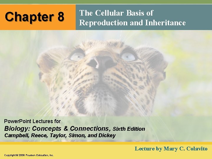 Chapter 8 The Cellular Basis of Reproduction and Inheritance Power. Point Lectures for Biology: