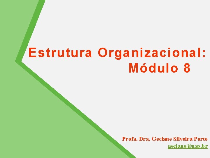 Estrutura Organizacional: Módulo 8 Profa. Dra. Geciane Silveira Porto geciane@usp. br 