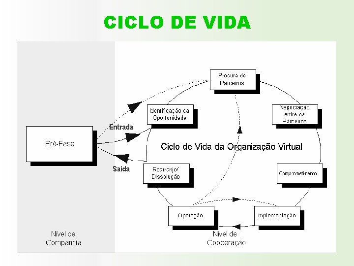 CICLO DE VIDA 