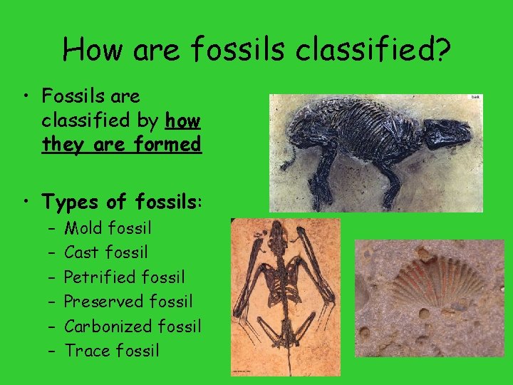 How are fossils classified? • Fossils are classified by how they are formed •