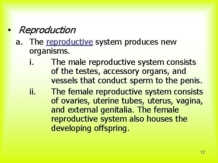  • Reproduction a. The reproductive system produces new organisms. i. The male reproductive