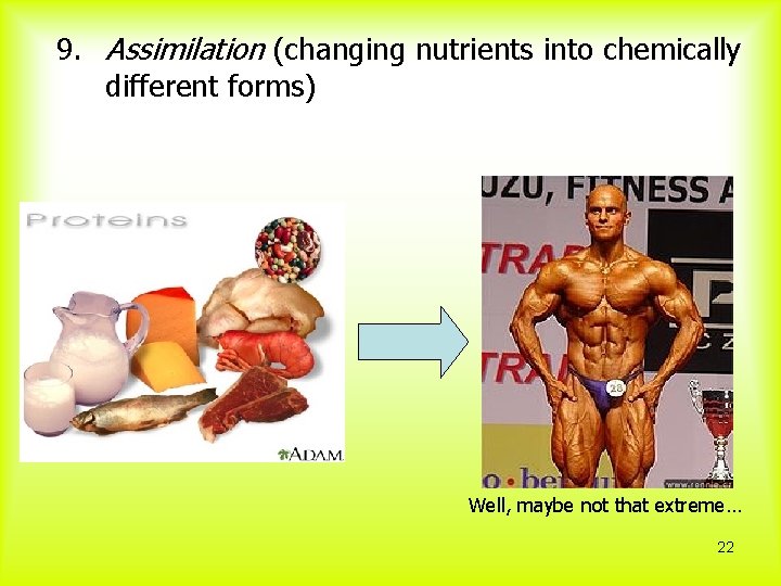 9. Assimilation (changing nutrients into chemically different forms) Well, maybe not that extreme… 22