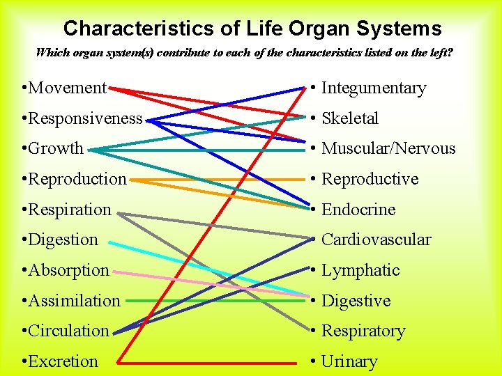 Characteristics of Life Organ Systems Which organ system(s) contribute to each of the characteristics