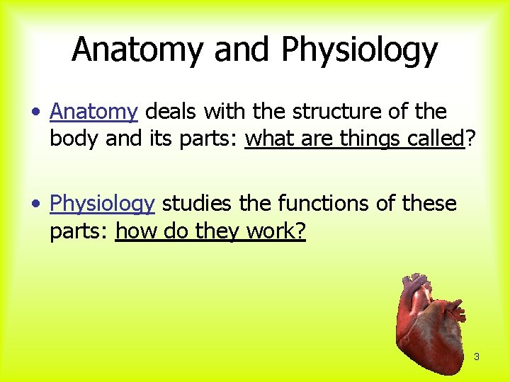 Anatomy and Physiology • Anatomy deals with the structure of the body and its