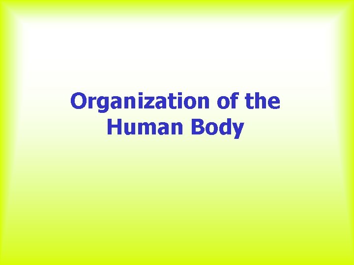 Organization of the Human Body 