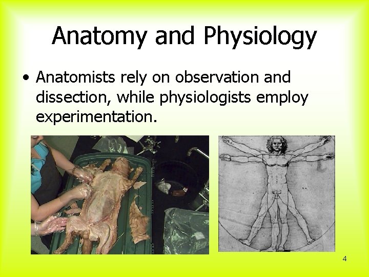 Anatomy and Physiology • Anatomists rely on observation and dissection, while physiologists employ experimentation.