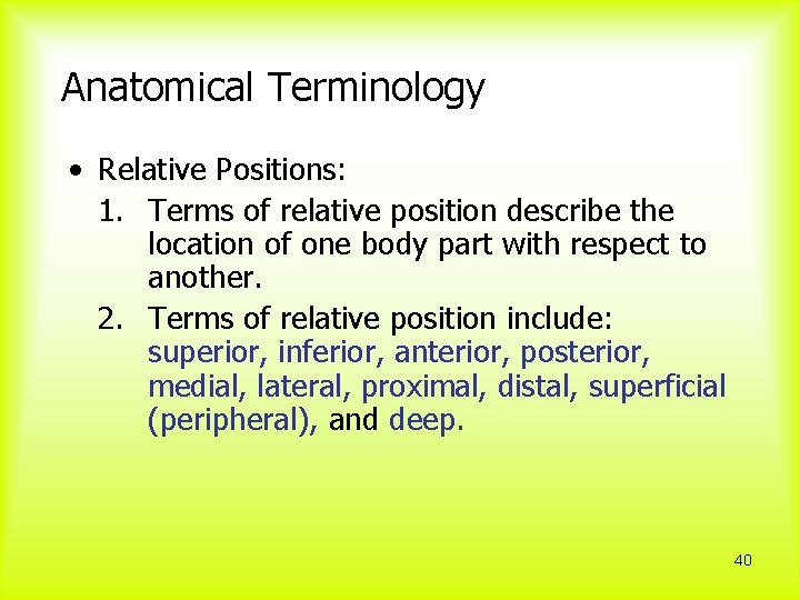  Anatomical Terminology • Relative Positions: 1. Terms of relative position describe the location