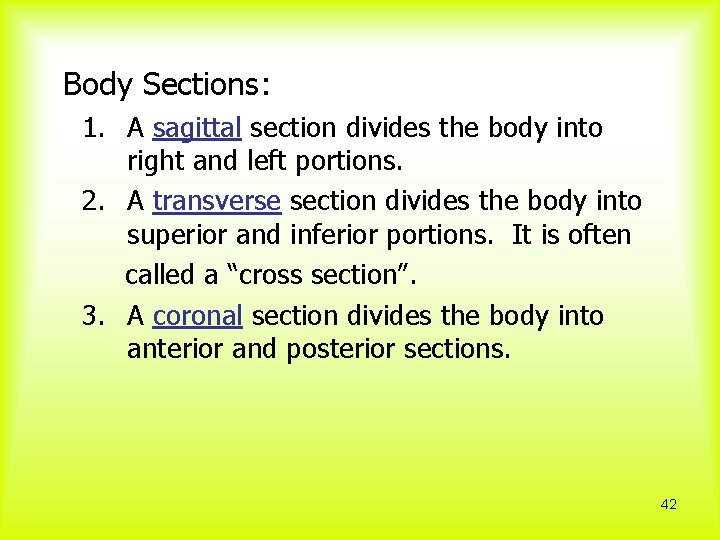  Body Sections: 1. A sagittal section divides the body into right and left