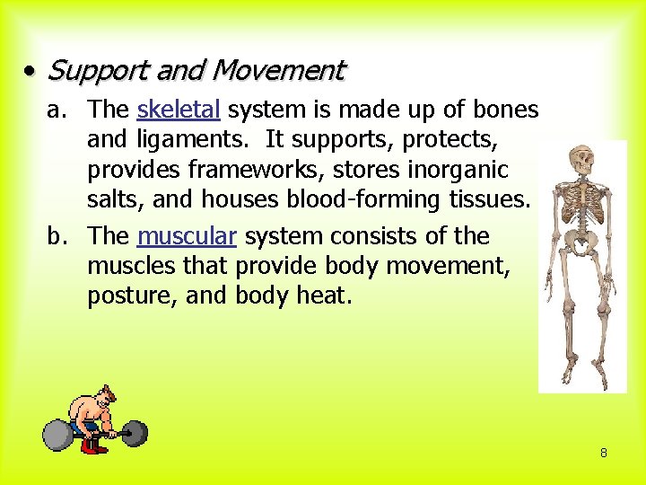  • Support and Movement a. The skeletal system is made up of bones