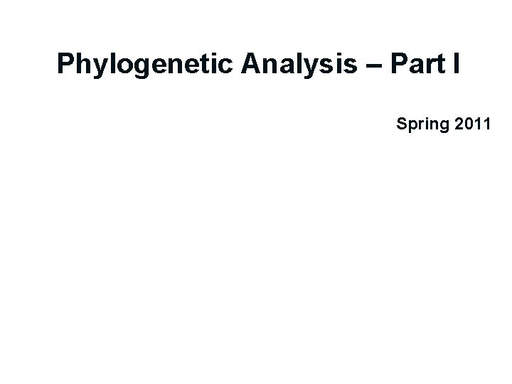 Phylogenetic Analysis – Part I Spring 2011 