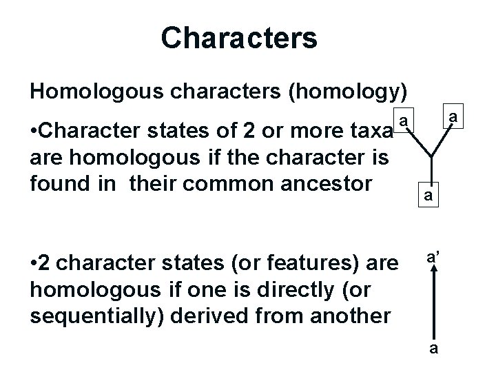 Characters Homologous characters (homology) • Character states of 2 or more taxa are homologous