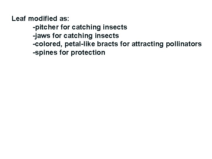 Leaf modified as: -pitcher for catching insects -jaws for catching insects -colored, petal-like bracts