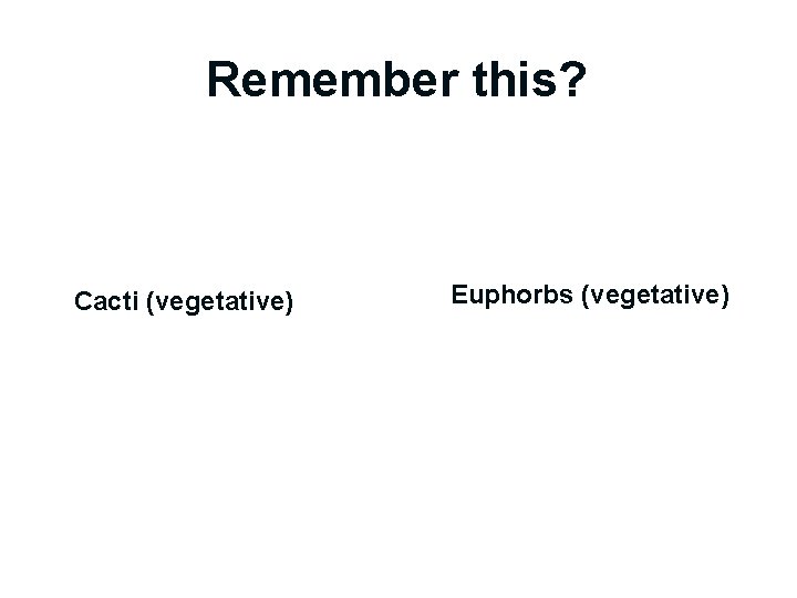 Remember this? Cacti (vegetative) Euphorbs (vegetative) 