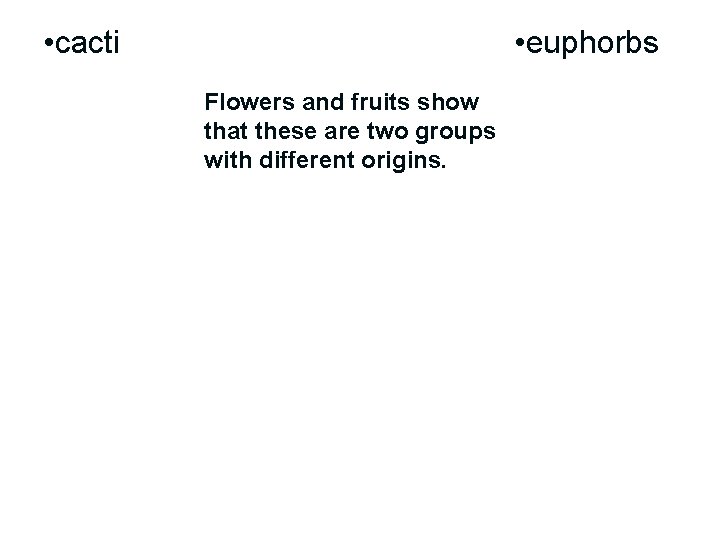  • cacti • euphorbs Flowers and fruits show that these are two groups