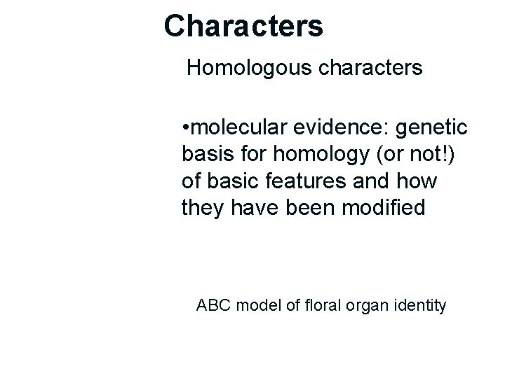 Characters Homologous characters • molecular evidence: genetic basis for homology (or not!) of basic