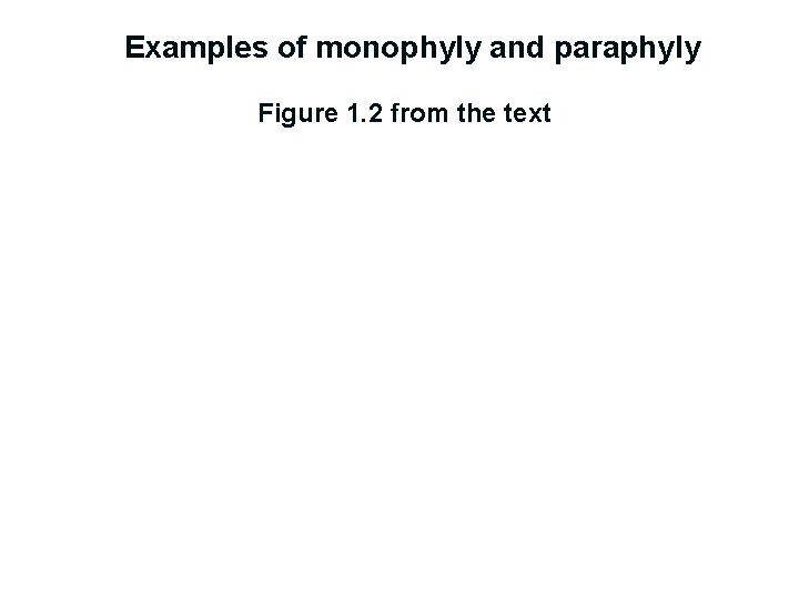 Examples of monophyly and paraphyly Figure 1. 2 from the text 