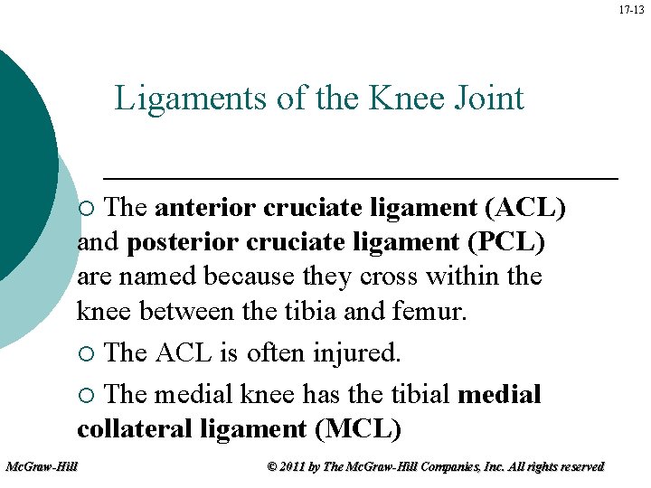 17 -13 Ligaments of the Knee Joint The anterior cruciate ligament (ACL) and posterior