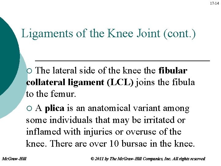 17 -14 Ligaments of the Knee Joint (cont. ) The lateral side of the