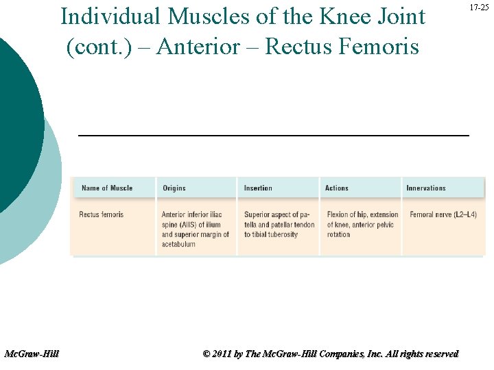 Individual Muscles of the Knee Joint (cont. ) – Anterior – Rectus Femoris Mc.