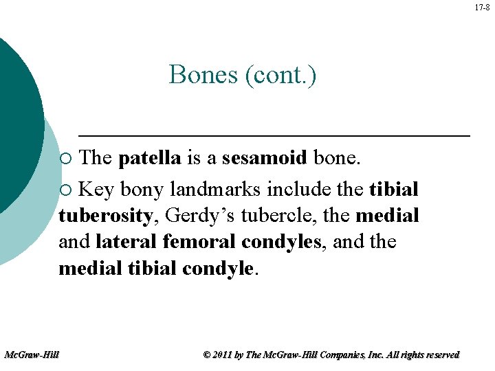 17 -8 Bones (cont. ) The patella is a sesamoid bone. ¡ Key bony