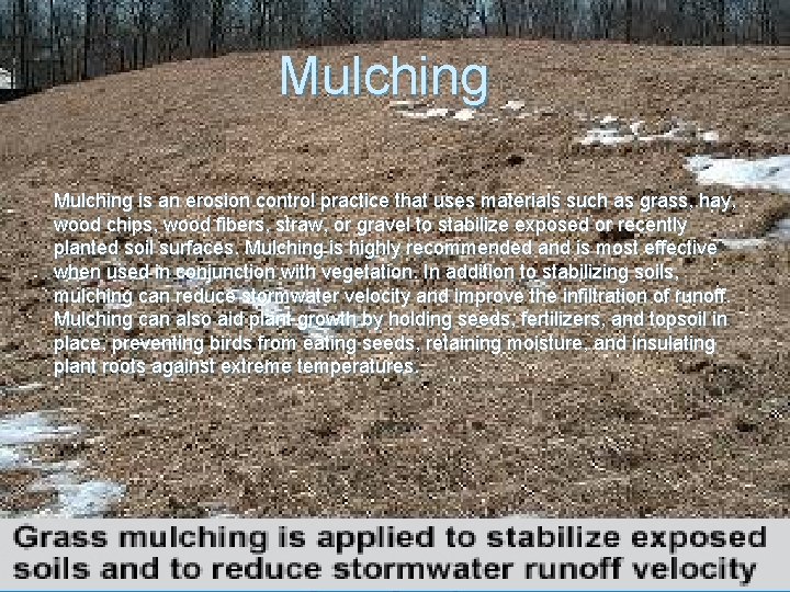 Mulching is an erosion control practice that uses materials such as grass, hay, wood