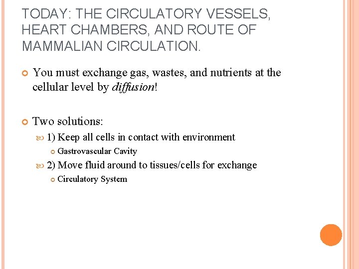 TODAY: THE CIRCULATORY VESSELS, HEART CHAMBERS, AND ROUTE OF MAMMALIAN CIRCULATION. You must exchange