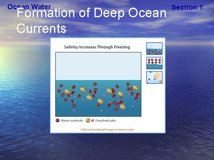 Ocean Water Formation of Deep Ocean Currents Section 1 