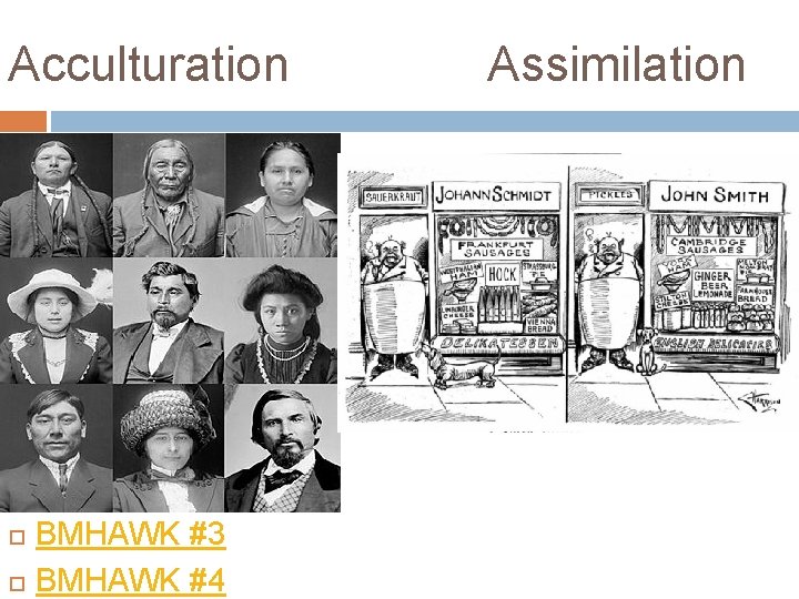 Acculturation NH BMHAWK #3 BMHAWK #4 Assimilation 
