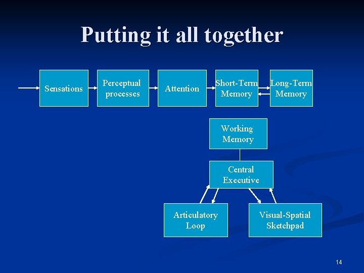 Putting it all together Sensations Perceptual processes Attention Short-Term Memory Long-Term Memory Working Memory