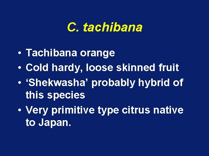 C. tachibana • Tachibana orange • Cold hardy, loose skinned fruit • ‘Shekwasha’ probably