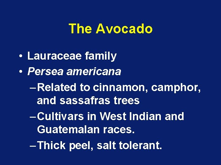 The Avocado • Lauraceae family • Persea americana – Related to cinnamon, camphor, and