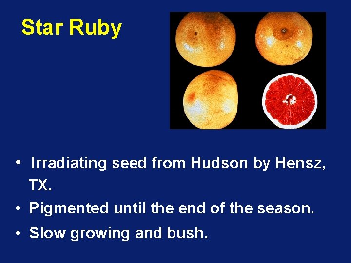 Star Ruby • Irradiating seed from Hudson by Hensz, TX. • Pigmented until the