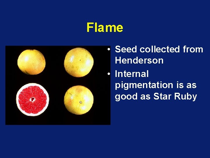 Flame • Seed collected from Henderson • Internal pigmentation is as good as Star