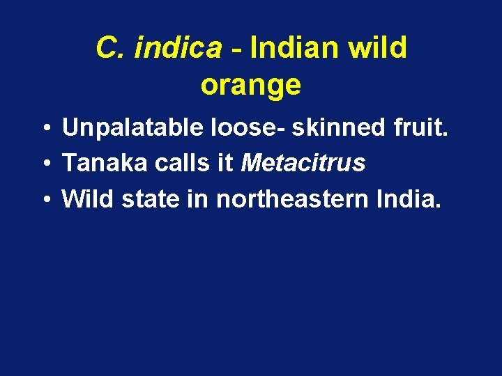 C. indica - Indian wild orange • Unpalatable loose- skinned fruit. • Tanaka calls