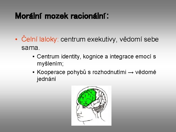 Morální mozek racionální: • Čelní laloky: centrum exekutivy, vědomí sebe sama. • Centrum identity,