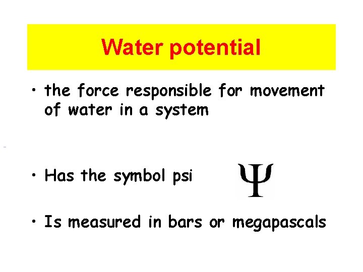 Water potential • the force responsible for movement of water in a system •