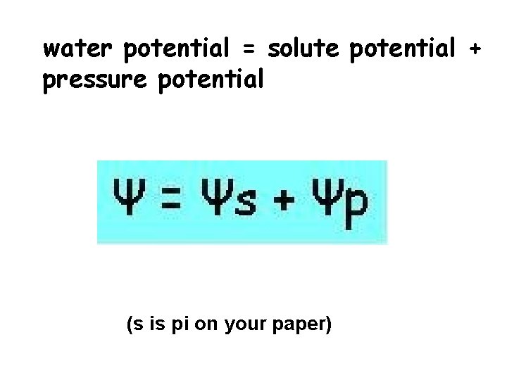 water potential = solute potential + pressure potential (s is pi on your paper)