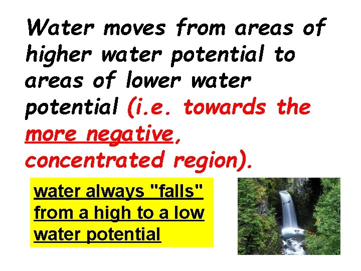 Water moves from areas of higher water potential to areas of lower water potential