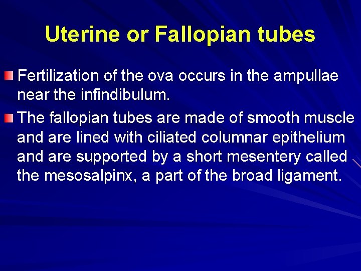Uterine or Fallopian tubes Fertilization of the ova occurs in the ampullae near the Uterine or Fallopian tubes Fertilization of the ova occurs in the ampullae near the