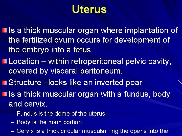 Uterus Is a thick muscular organ where implantation of the fertilized ovum occurs for Uterus Is a thick muscular organ where implantation of the fertilized ovum occurs for