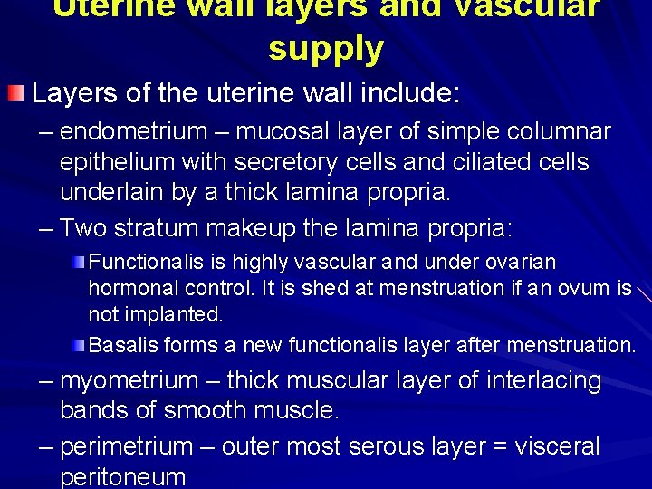 Uterine wall layers and vascular supply Layers of the uterine wall include: – endometrium Uterine wall layers and vascular supply Layers of the uterine wall include: – endometrium