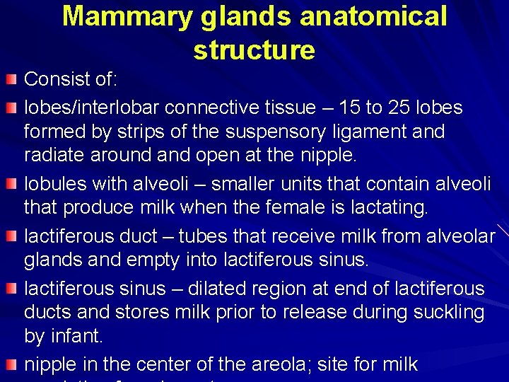 Mammary glands anatomical structure Consist of: lobes/interlobar connective tissue – 15 to 25 lobes Mammary glands anatomical structure Consist of: lobes/interlobar connective tissue – 15 to 25 lobes