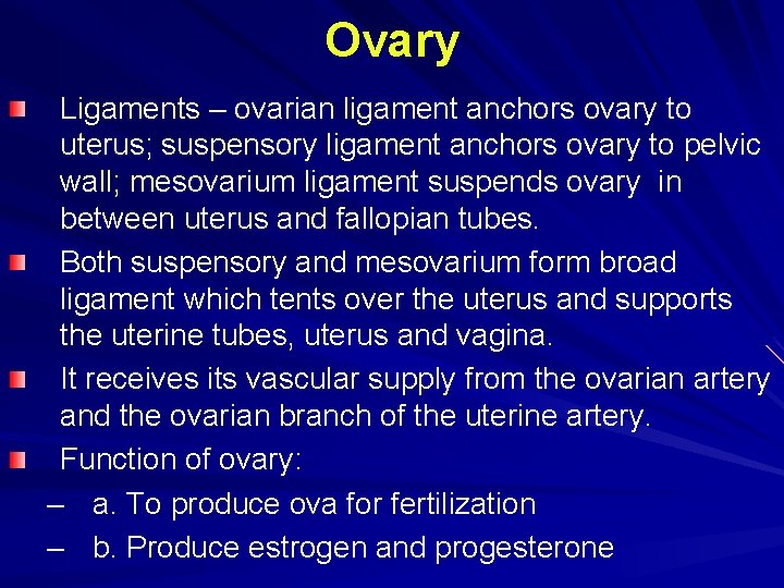 Ovary Ligaments – ovarian ligament anchors ovary to uterus; suspensory ligament anchors ovary to Ovary Ligaments – ovarian ligament anchors ovary to uterus; suspensory ligament anchors ovary to