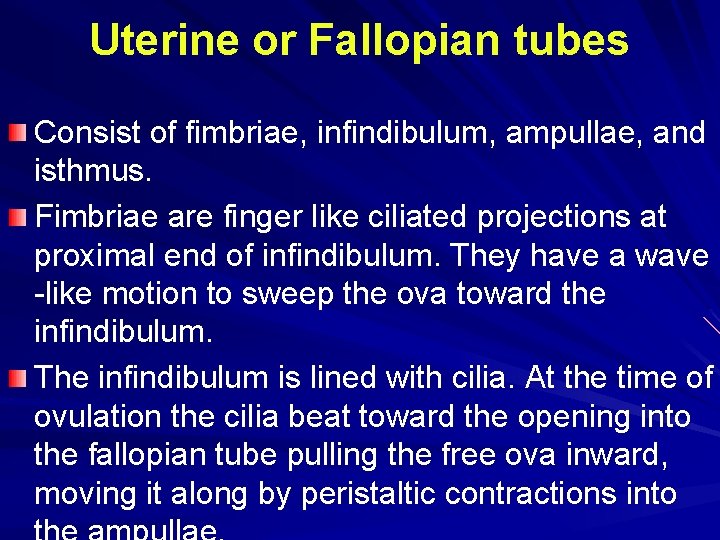 Uterine or Fallopian tubes Consist of fimbriae, infindibulum, ampullae, and isthmus. Fimbriae are finger Uterine or Fallopian tubes Consist of fimbriae, infindibulum, ampullae, and isthmus. Fimbriae are finger