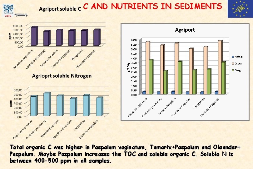 C AND NUTRIENTS IN SEDIMENTS Total organic C was higher in Paspalum vaginatum, Tamarix+Paspalum